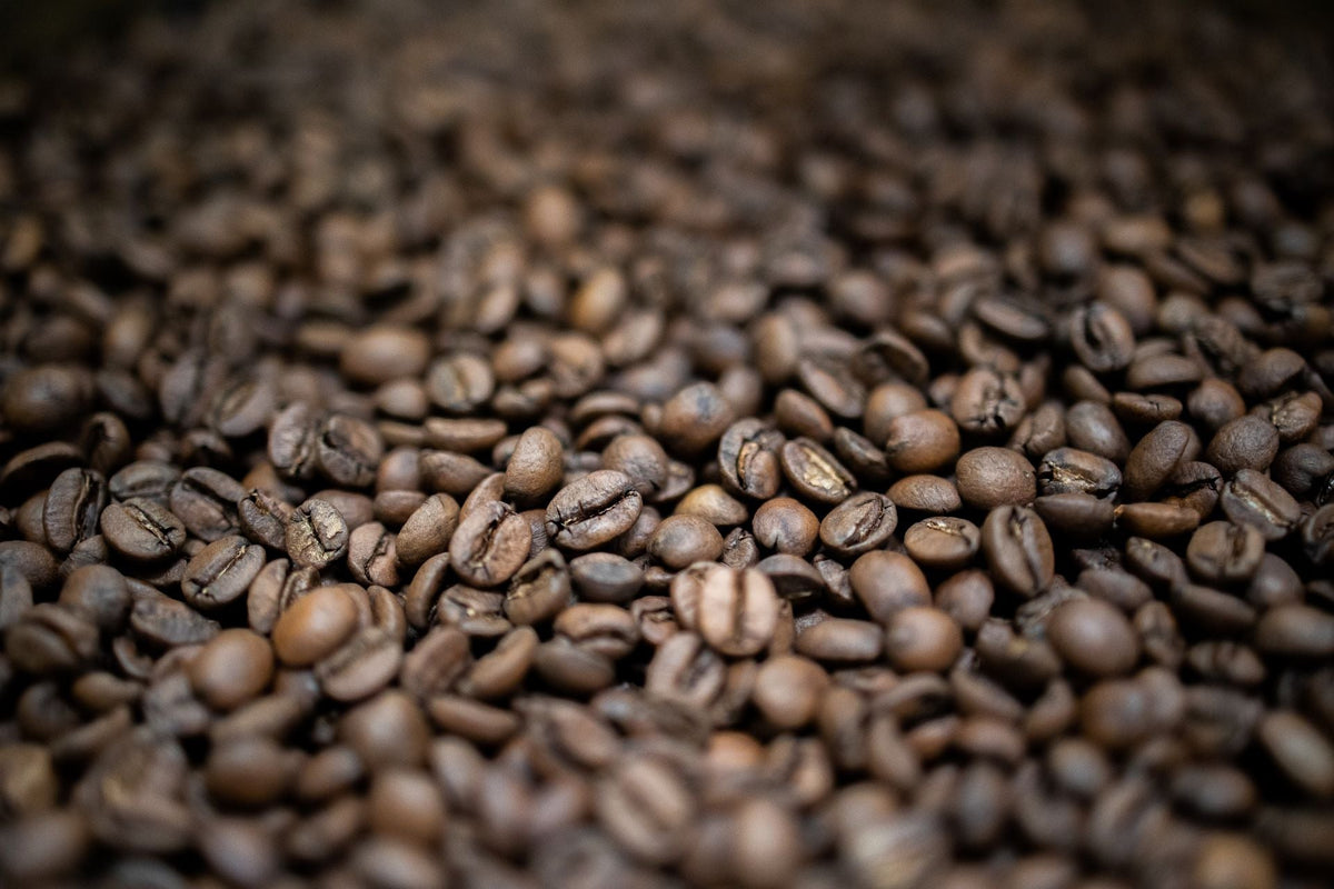 Best Specialty Coffee Beans Adelaide Buy Online Faithful Hound